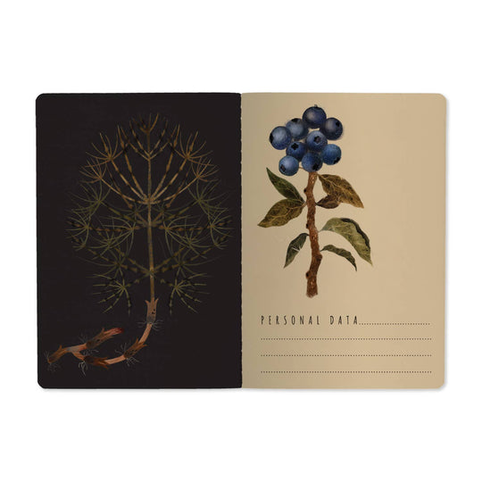 BV by Bruno Visconti - A5 Notebook - Forest Berries