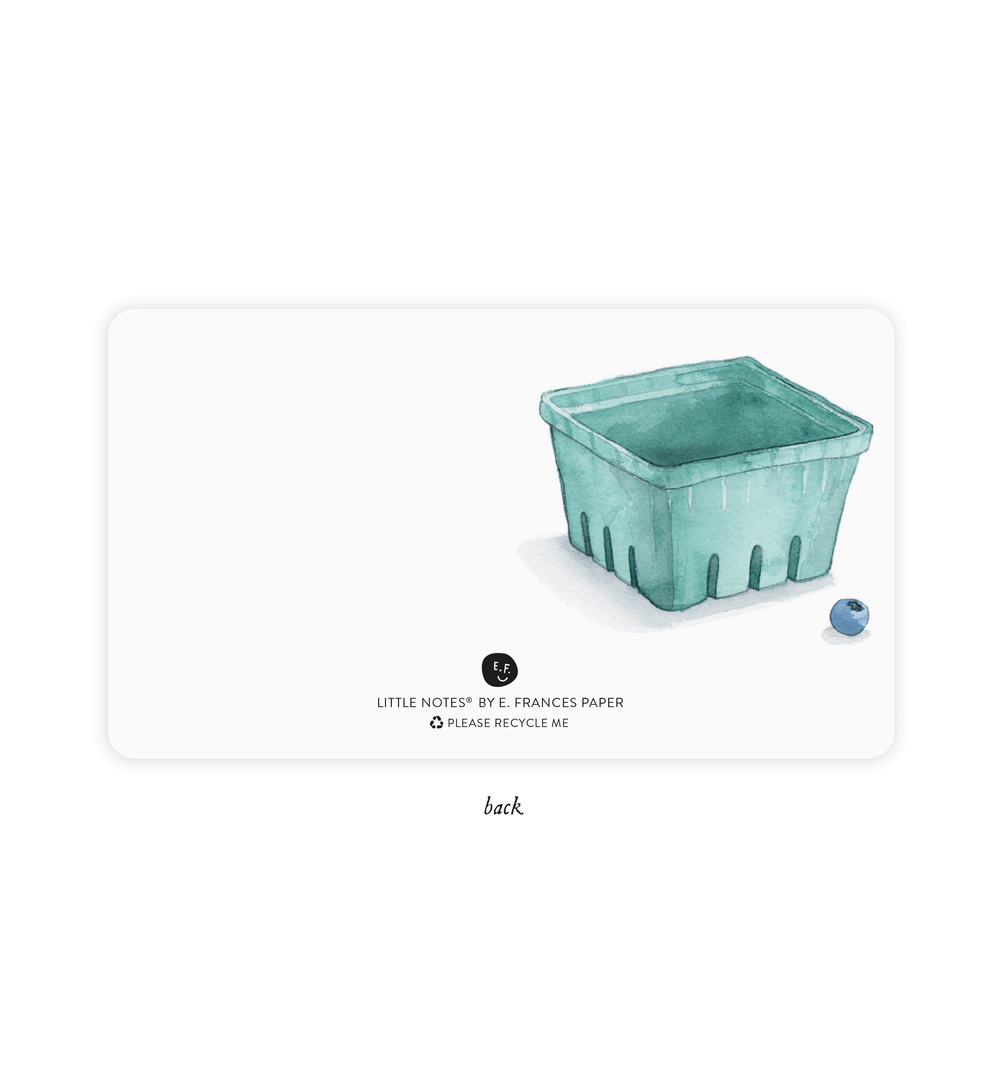 E. Frances Paper - Blueberries Little Notes®