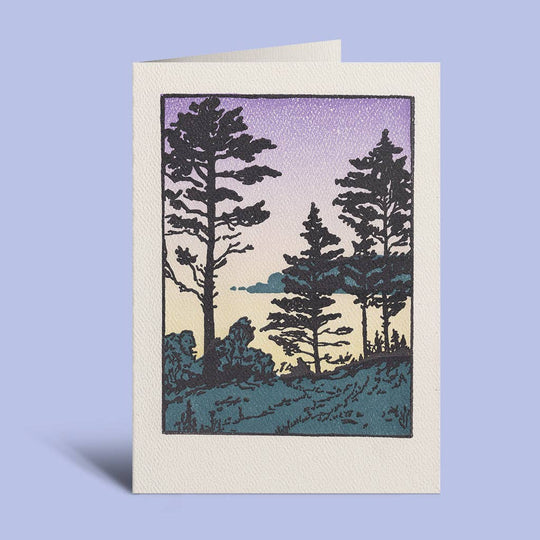Saturn Press - Twilight Sheepscot River: Unsleeved