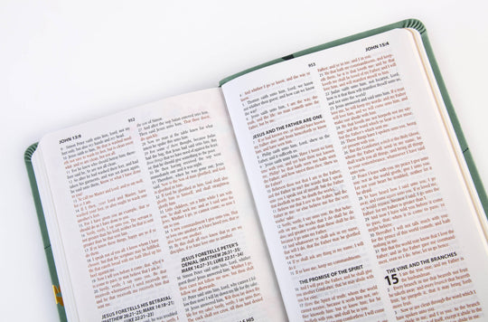 Barbour Publishing, Inc. - The Holy Bible KJV: Prayer Map Edition