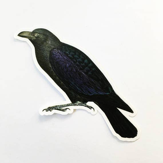 Pergamo Paper Goods - Naturalistic Vintage Raven Vinyl Sticker: 4" tall