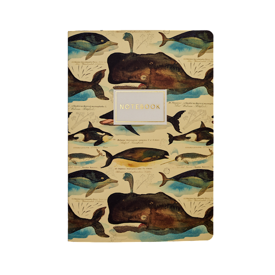 BV by Bruno Visconti - Whales Notebook