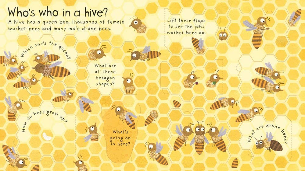 HarperCollins - First Questions and Answers: Why do we need bees?
