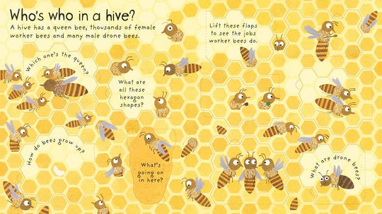 HarperCollins - First Questions and Answers: Why do we need bees?