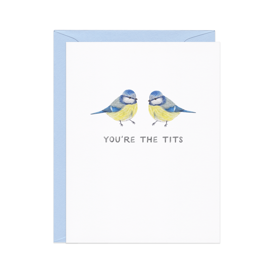 Amy Zhang - You're the Tits — Funny Bird Pun Friendship Card