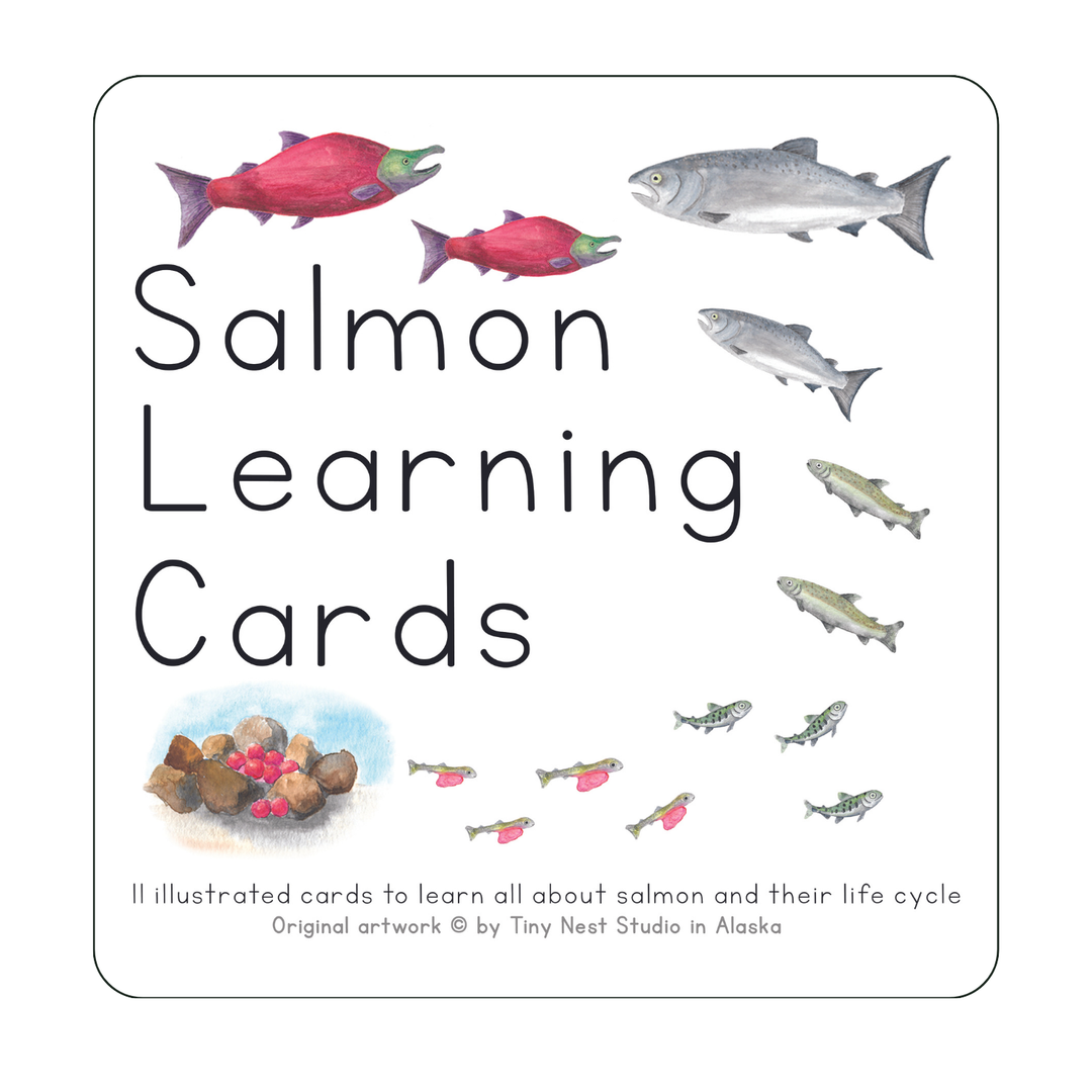 Tiny Nest Studio - Salmon Life Cycle Learning Cards
