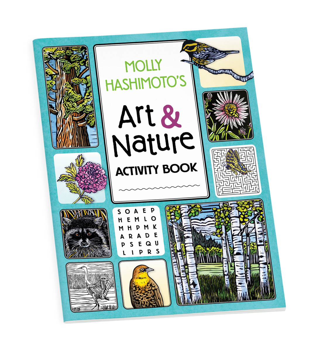 Pomegranate - Molly Hashimoto’s Art & Nature Activity Book
