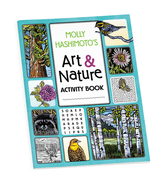 Pomegranate - Molly Hashimoto’s Art & Nature Activity Book