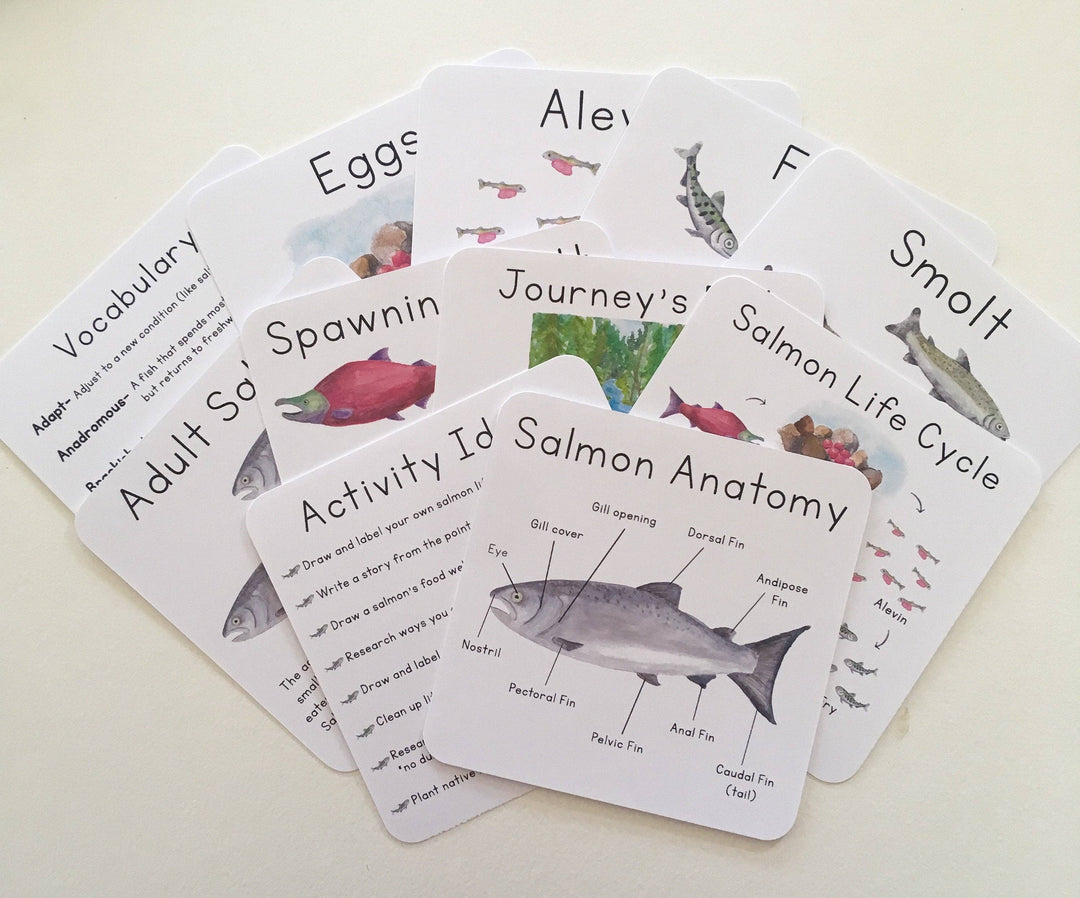 Tiny Nest Studio - Salmon Life Cycle Learning Cards