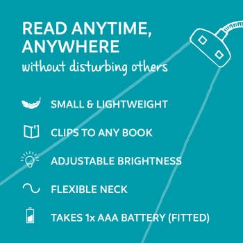 if USA - The Really Compact Travel Book Light: Fern