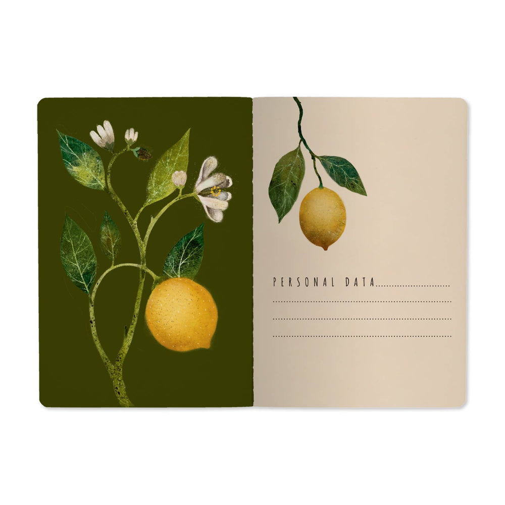 BV by Bruno Visconti - A5 Notebook - Lemons