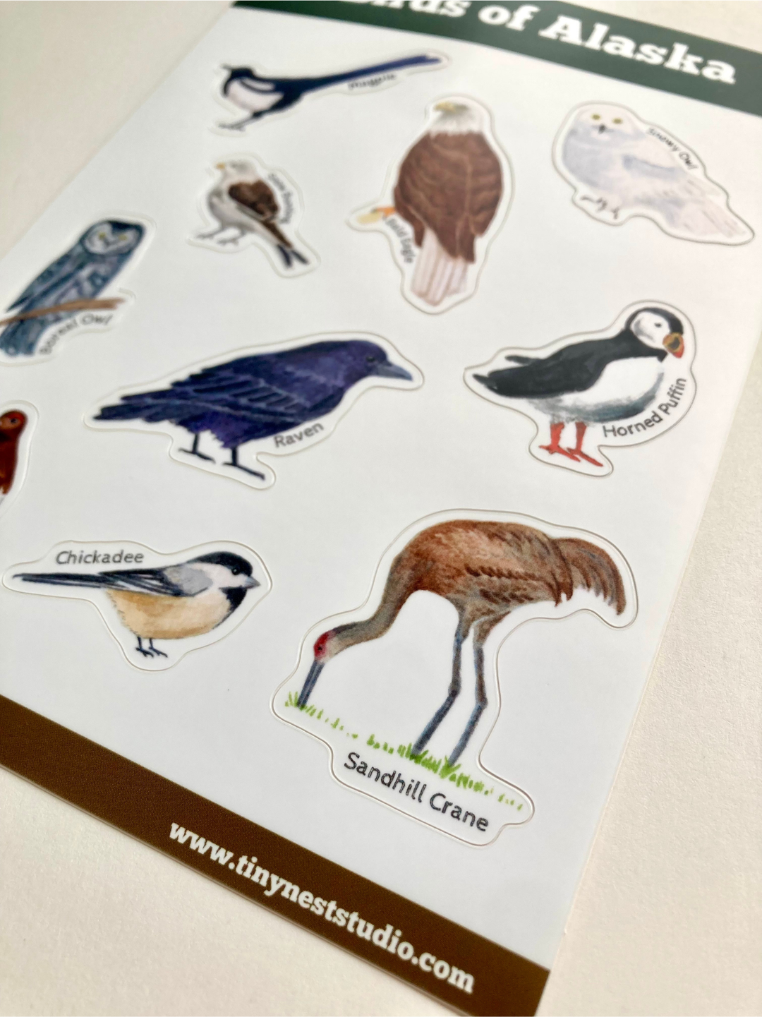 Tiny Nest Studio - Birds of Alaska Sticker Sheet