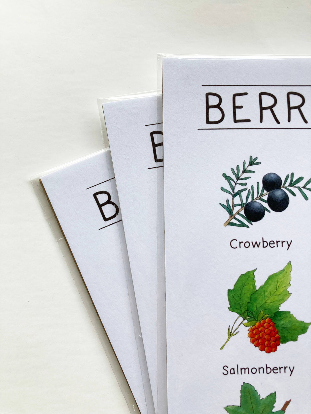 Tiny Nest Studio - Berries of Alaska Art Print: 8 x 10 inches