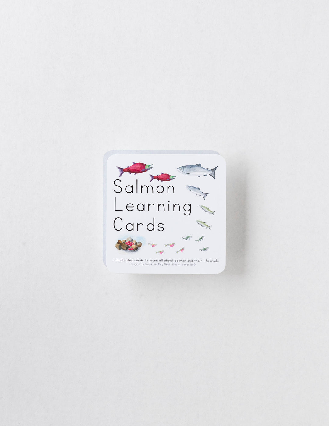 Tiny Nest Studio - Salmon Life Cycle Learning Cards