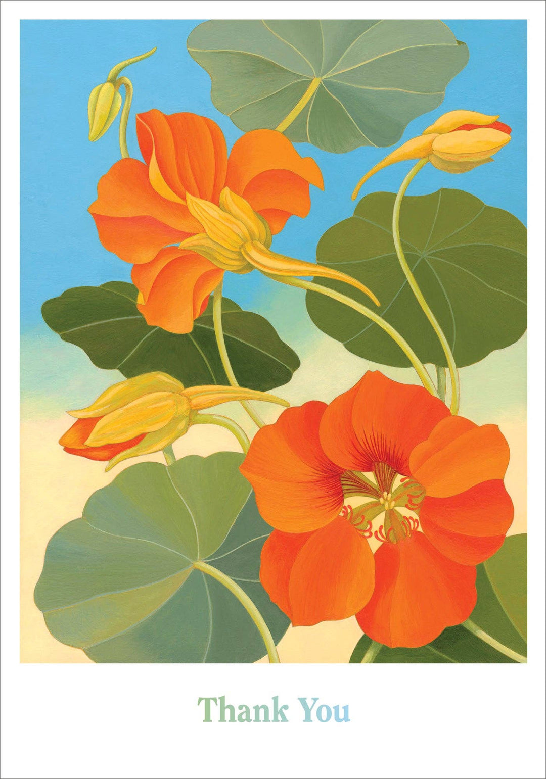 Pomegranate - Siri Schillios: Nasturtium Boxed Thank You Notes
