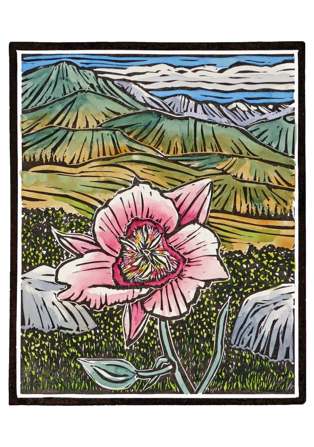 Pomegranate - Molly Hashimoto: Wildflowers Boxed Notecard Assortment