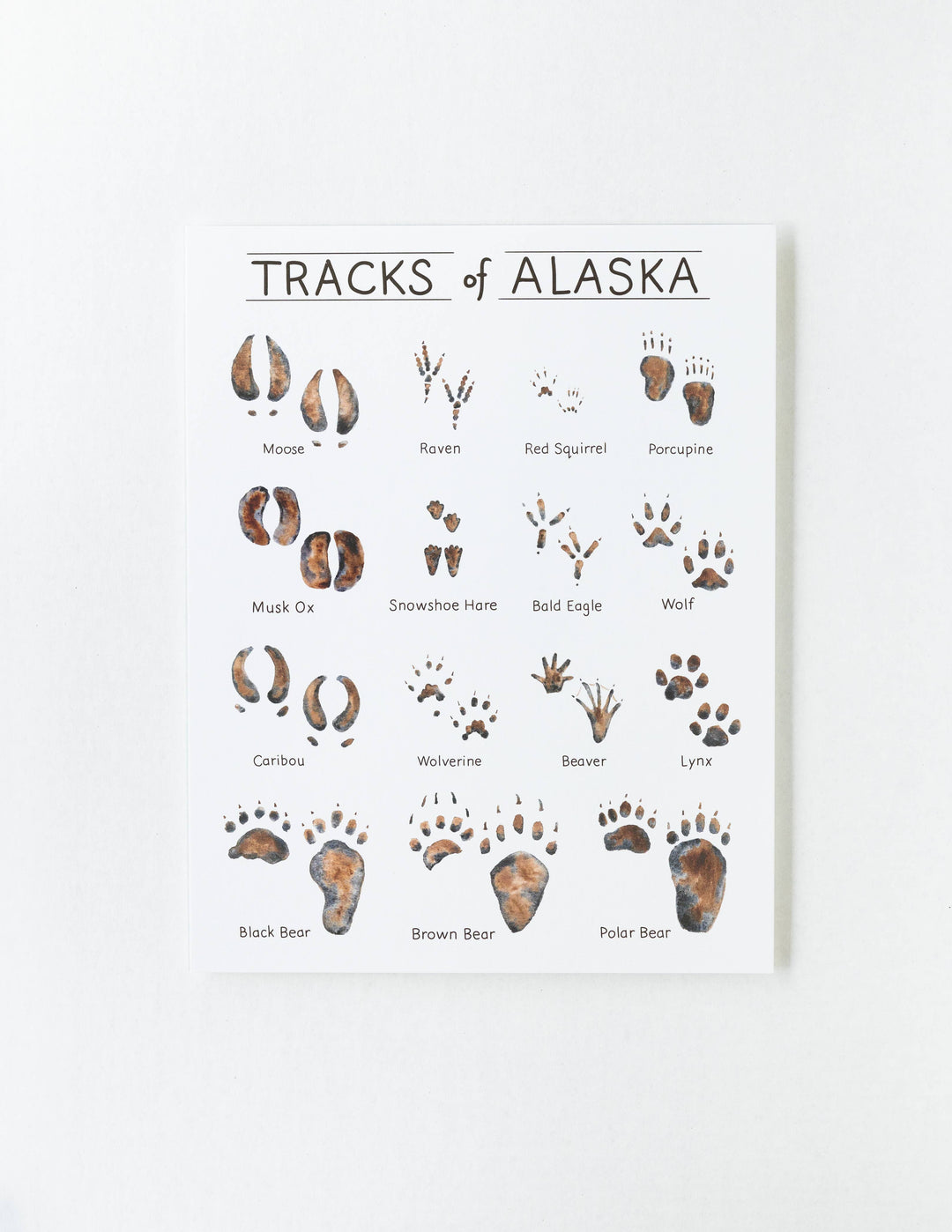 Tiny Nest Studio - Tracks of Alaska Art Print: 11 x 14 inches
