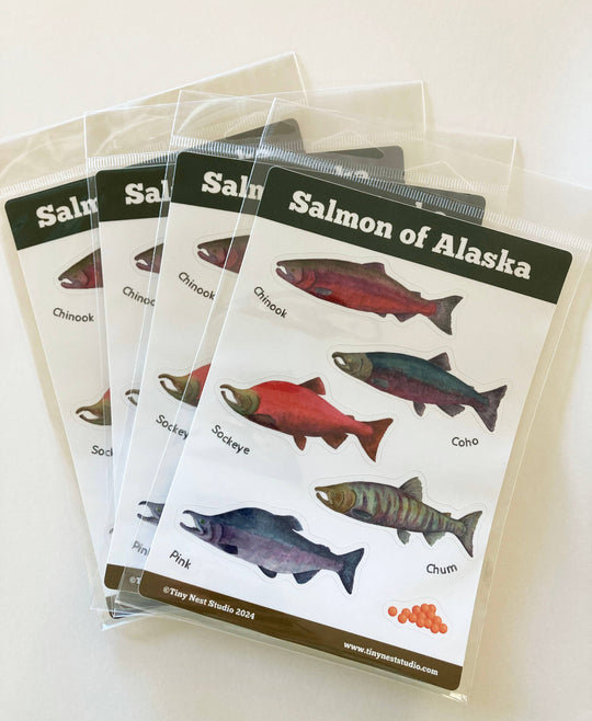 Tiny Nest Studio - Salmon of Alaska Sticker Sheet