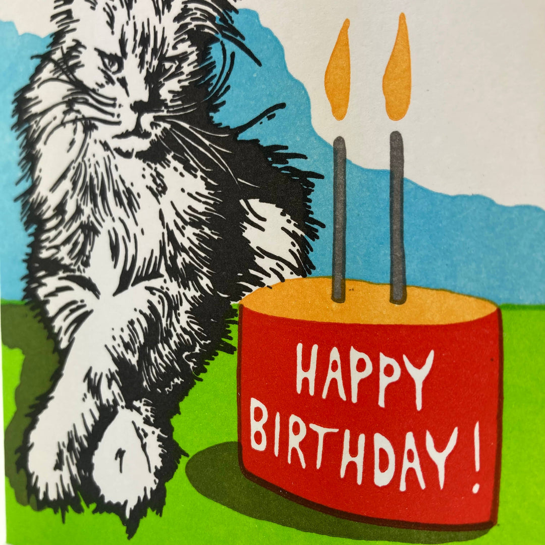 Old School Stationers - Birthday cat. Not so excited.