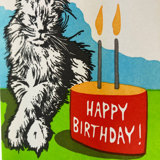 Old School Stationers - Birthday cat. Not so excited.