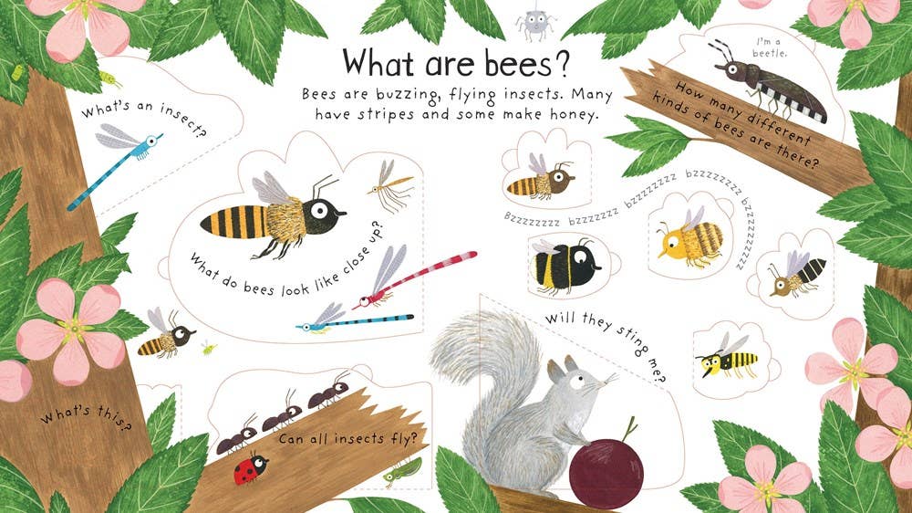HarperCollins - First Questions and Answers: Why do we need bees?