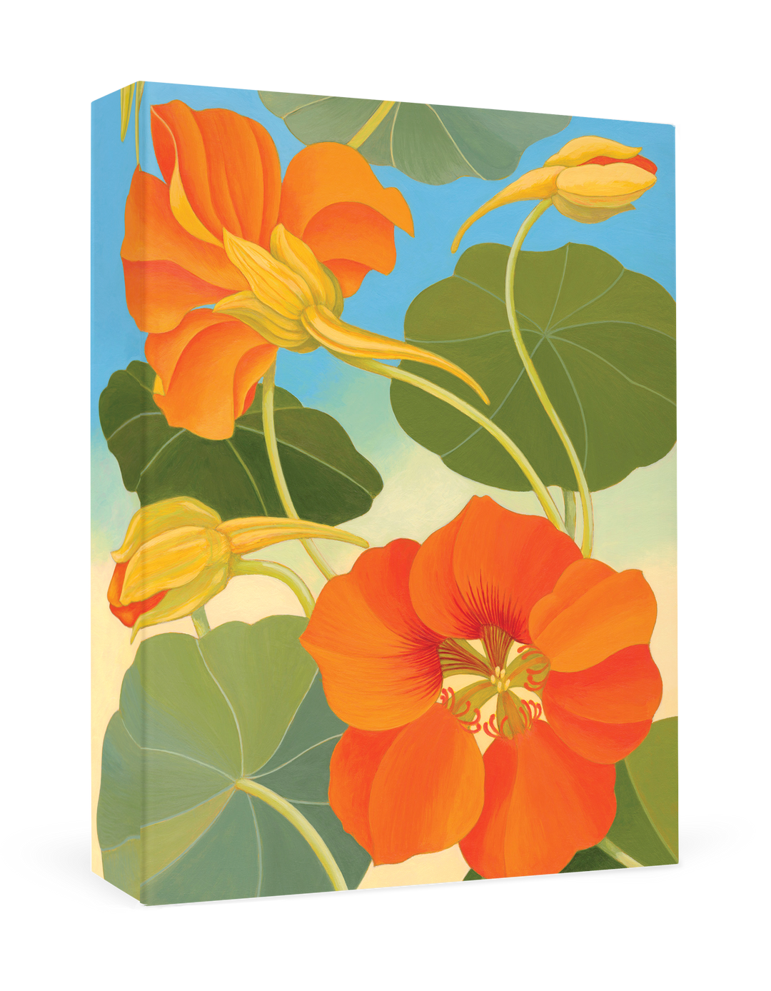 Pomegranate - Siri Schillios: Nasturtium Boxed Thank You Notes