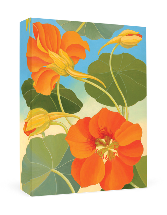 Pomegranate - Siri Schillios: Nasturtium Boxed Thank You Notes