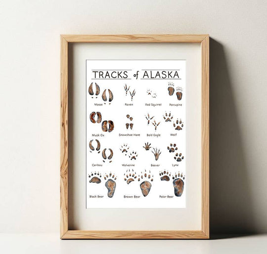 Tiny Nest Studio - Tracks of Alaska Art Print: 11 x 14 inches