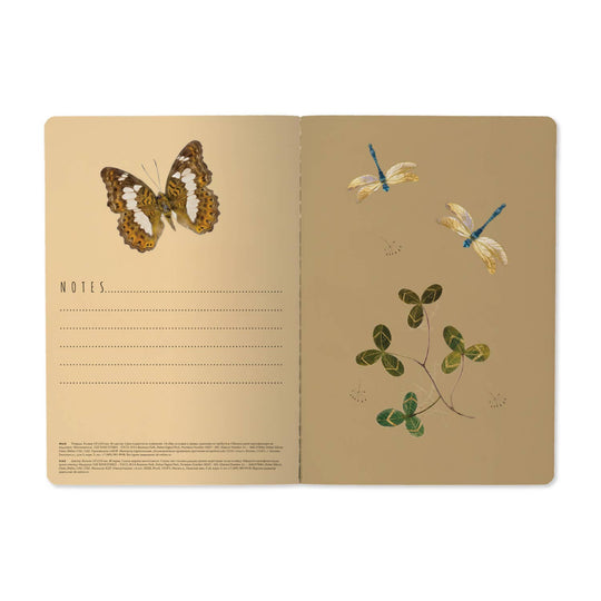 BV by Bruno Visconti - A5 Notebook - Butterflies and Friends