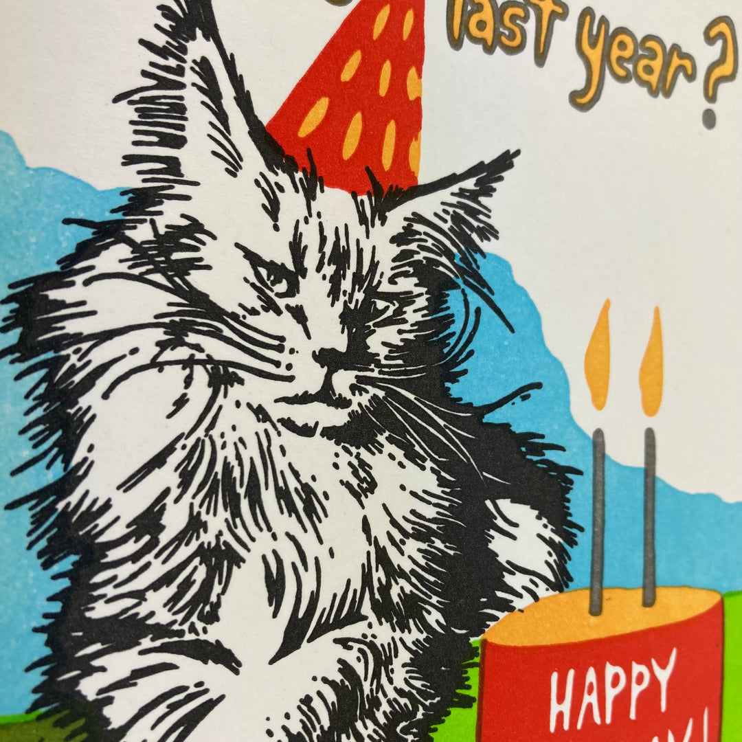 Old School Stationers - Birthday cat. Not so excited.