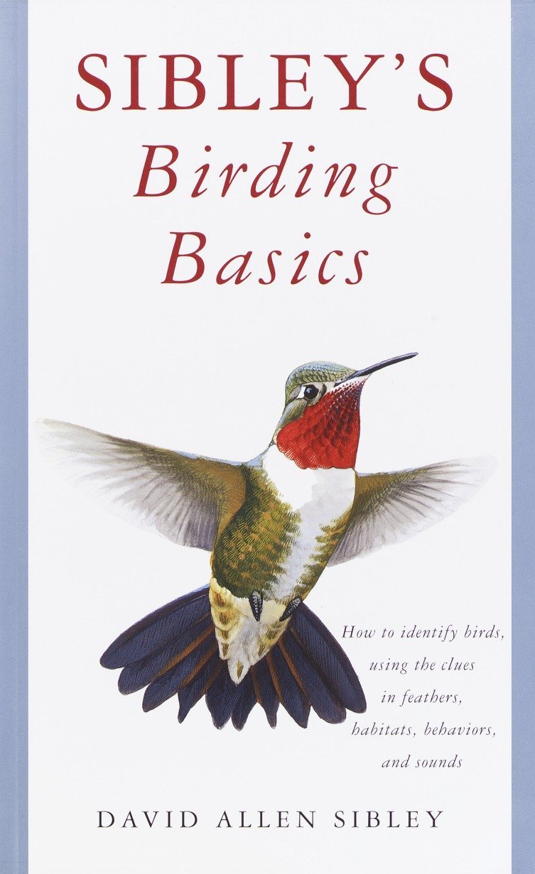 Sibley's Birding Basics: How to Identify Birds, Using the Clues in Feathers, Habitats, Behaviors, and Sounds (Sibley Guides) by David Allen Sibley