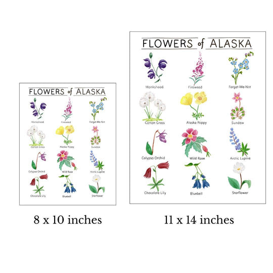 Tiny Nest Studio - Flowers of Alaska Art Print: 8 x 10 inches