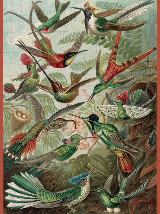 Pomegranate - Ernst Haeckel: Hummingbirds 300-Piece Jigsaw Puzzle