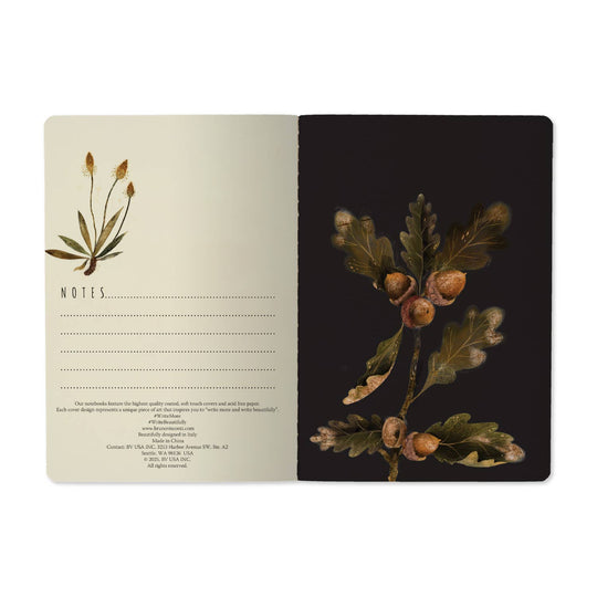 BV by Bruno Visconti - A5 Notebook - Forest Berries