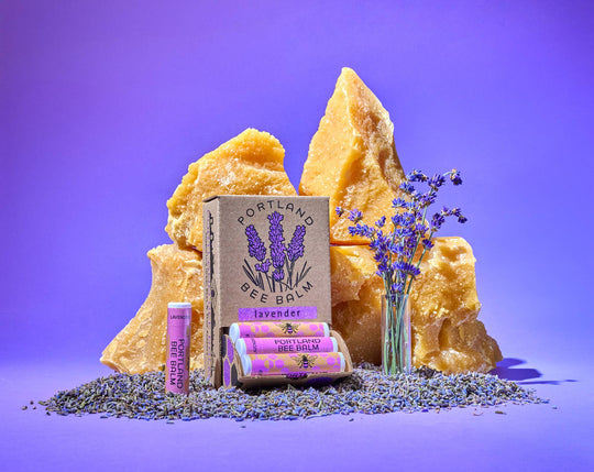 Portland Bee Balm - Lavender Beeswax Lip Balm: 24-Count Display