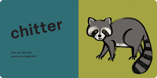 Hachette Book Group - Spring Street Touch and Feel: Forest by Boxer Books