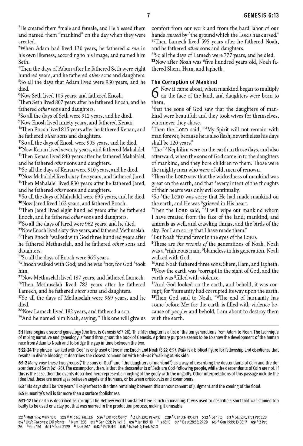 Barbour Publishing, Inc. - Light for Life NASB Study Bible (Mahogany Lighthouse)