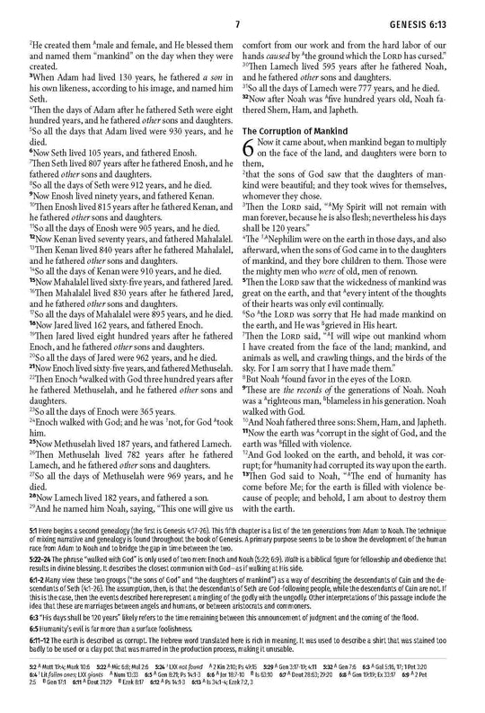 Barbour Publishing, Inc. - Light for Life NASB Study Bible (Mahogany Lighthouse)