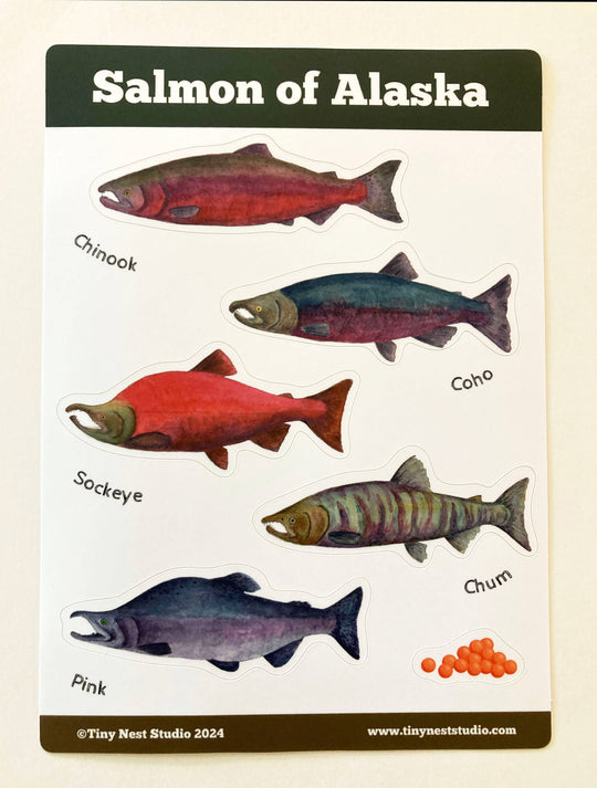 Tiny Nest Studio - Salmon of Alaska Sticker Sheet