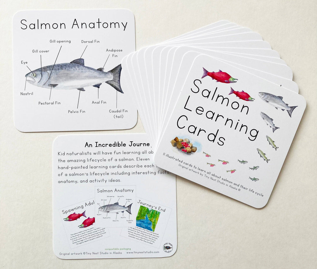 Tiny Nest Studio - Salmon Life Cycle Learning Cards