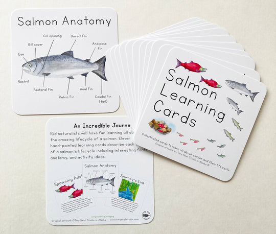 Tiny Nest Studio - Salmon Life Cycle Learning Cards