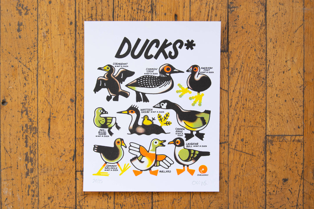 Curlworks - Ducks (not a duck) - 8x10" Risograph Print