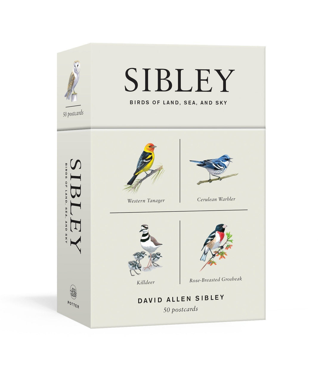 Sibley Birds of Land, Sea, and Sky: 50 Postcards - by David Allen Sibley