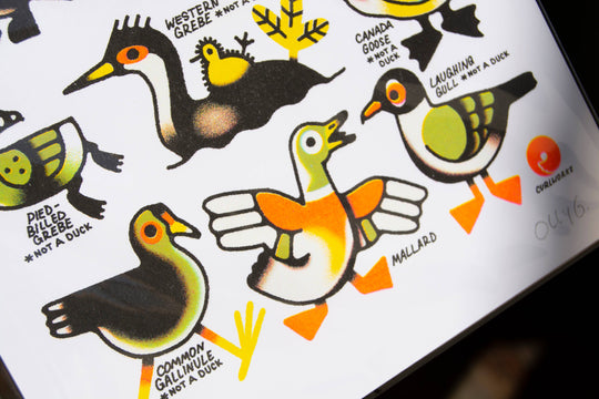 Curlworks - Ducks (not a duck) - 8x10" Risograph Print