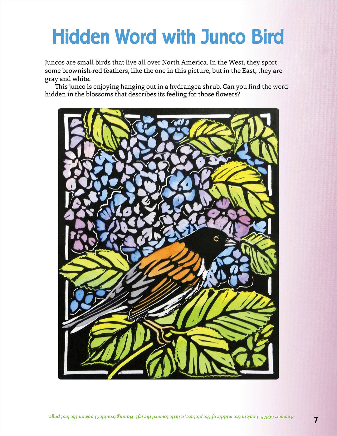 Pomegranate - Molly Hashimoto’s Art & Nature Activity Book