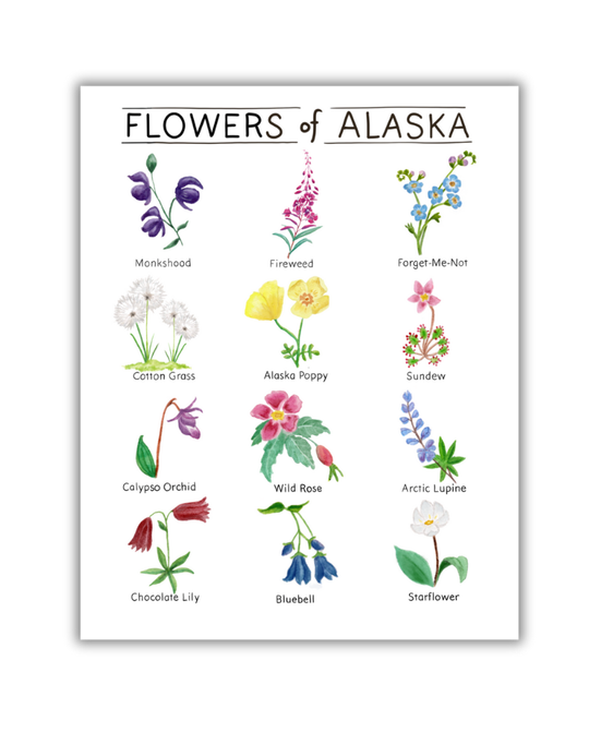 Tiny Nest Studio - Flowers of Alaska Art Print: 8 x 10 inches