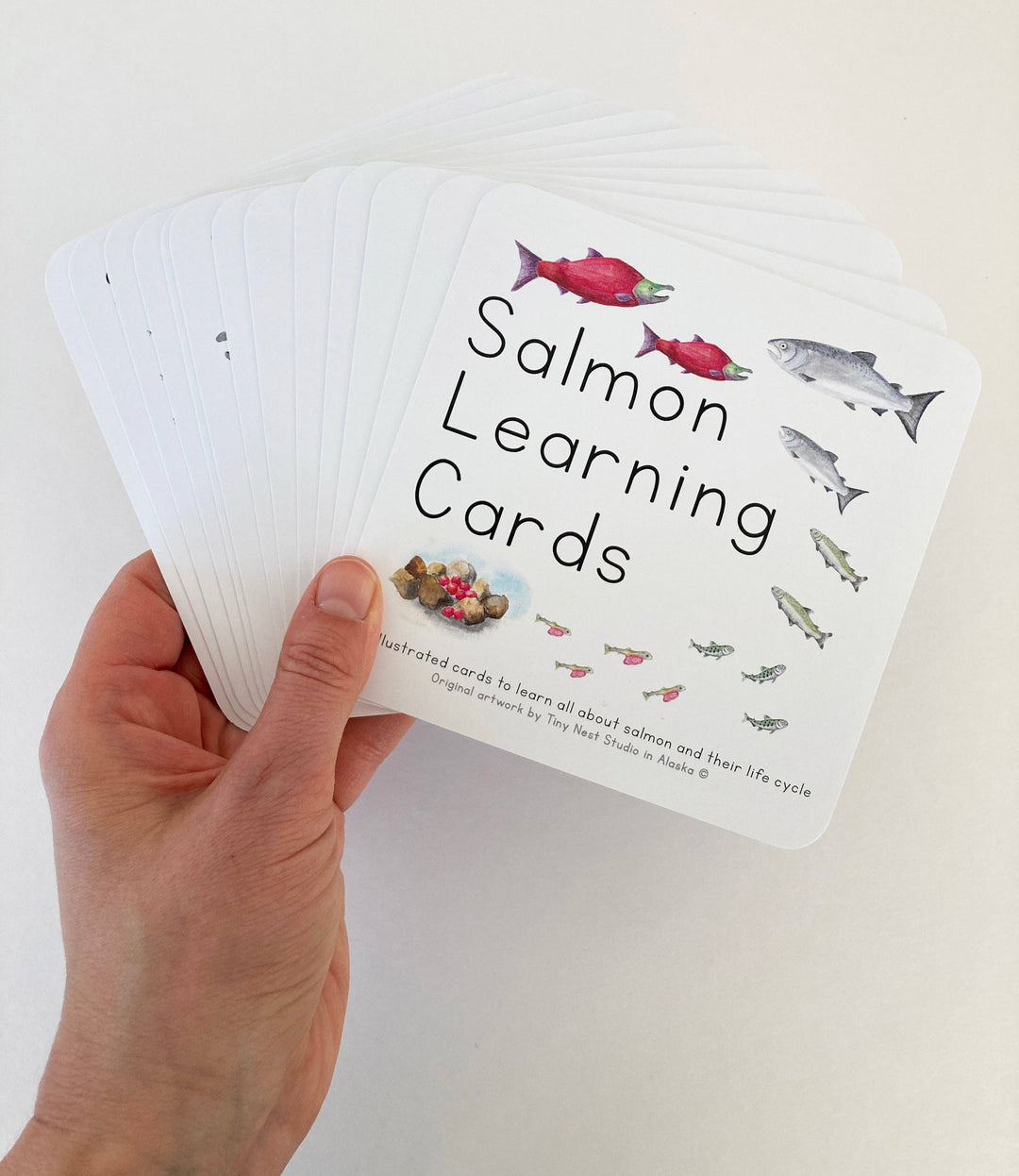 Tiny Nest Studio - Salmon Life Cycle Learning Cards