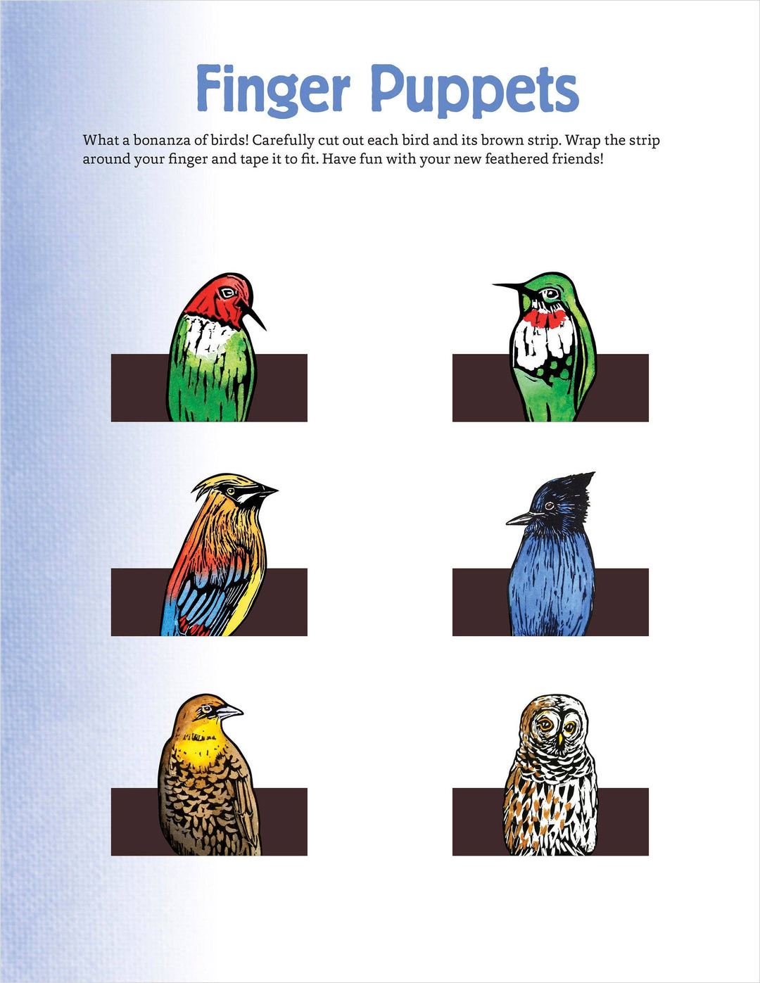 Pomegranate - Molly Hashimoto’s Art & Nature Activity Book