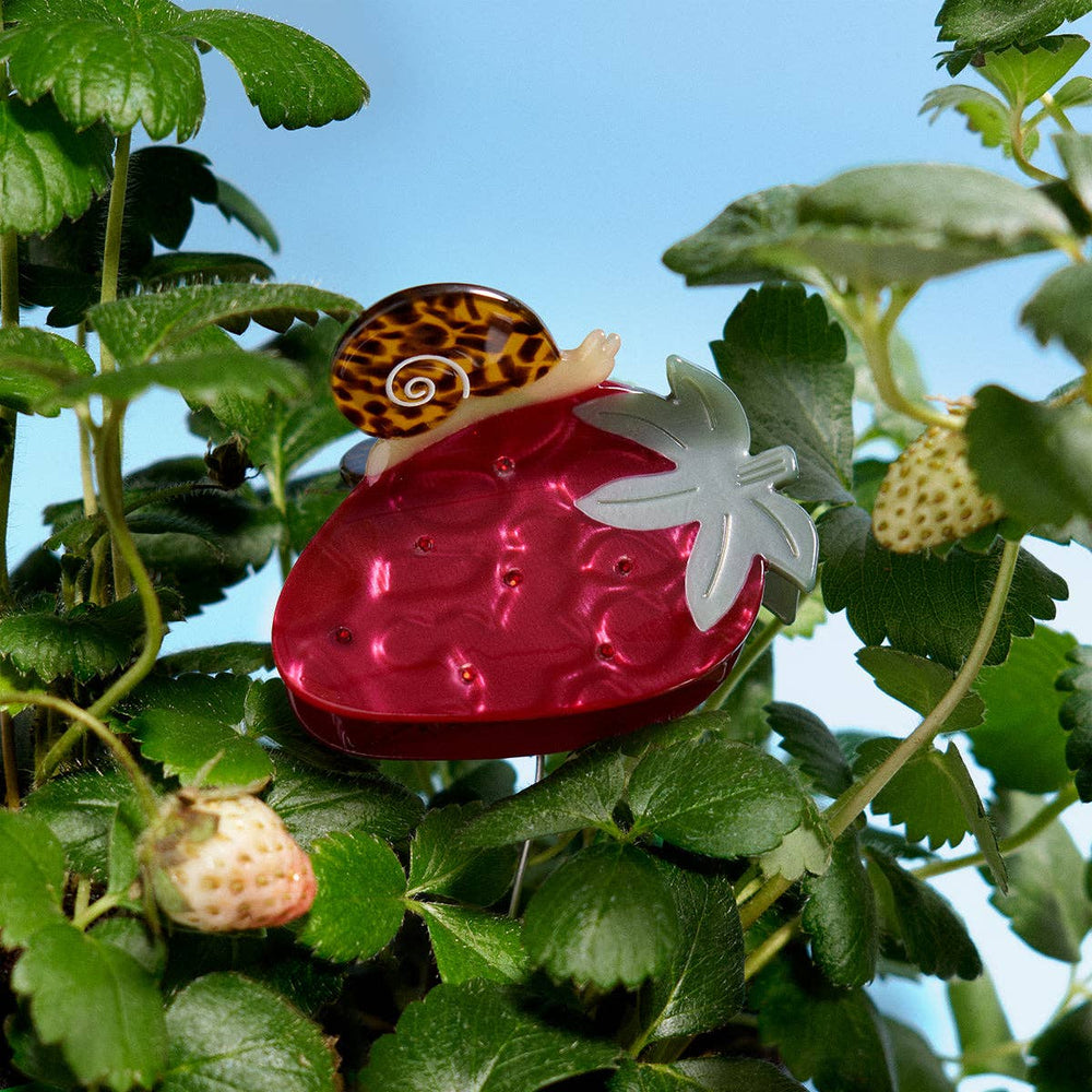 WINONA IRENE - Strawberry Claw - Red Fruit Claw with Tortoise Acetate Snail