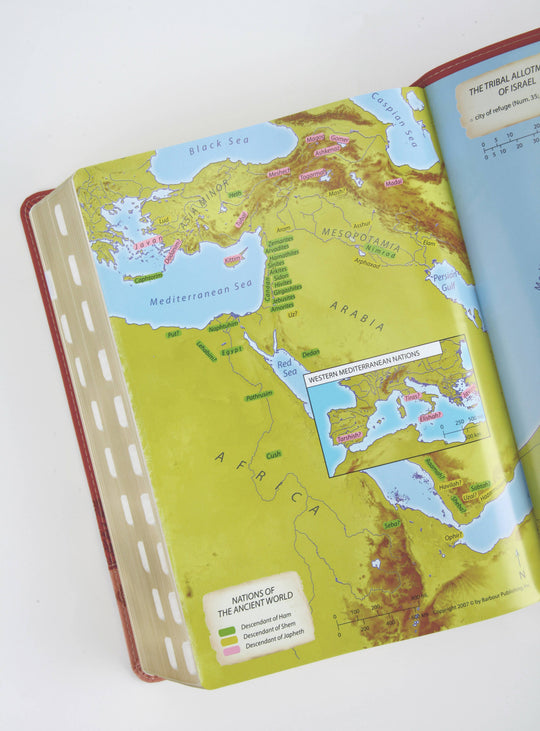Barbour Publishing, Inc. - The KJV Study Bible, Large Print (Indexed) [Rose & Chestnut]